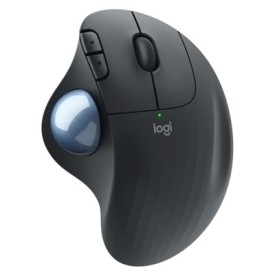 COMPONENTI-PC/MOUSE LOGITECH 84.1060